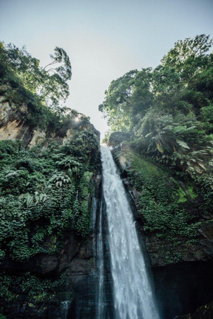 组装机械章鱼龙